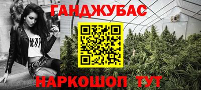 гидра Новодвинск