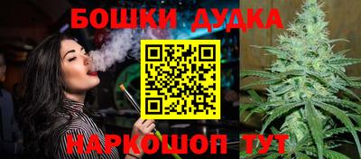гидра Новодвинск