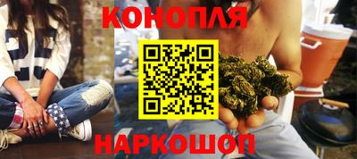 гидра Новодвинск