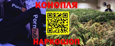 ГАЛЛЮЦИНОГЕННЫЕ ГРИБЫ Новозыбков