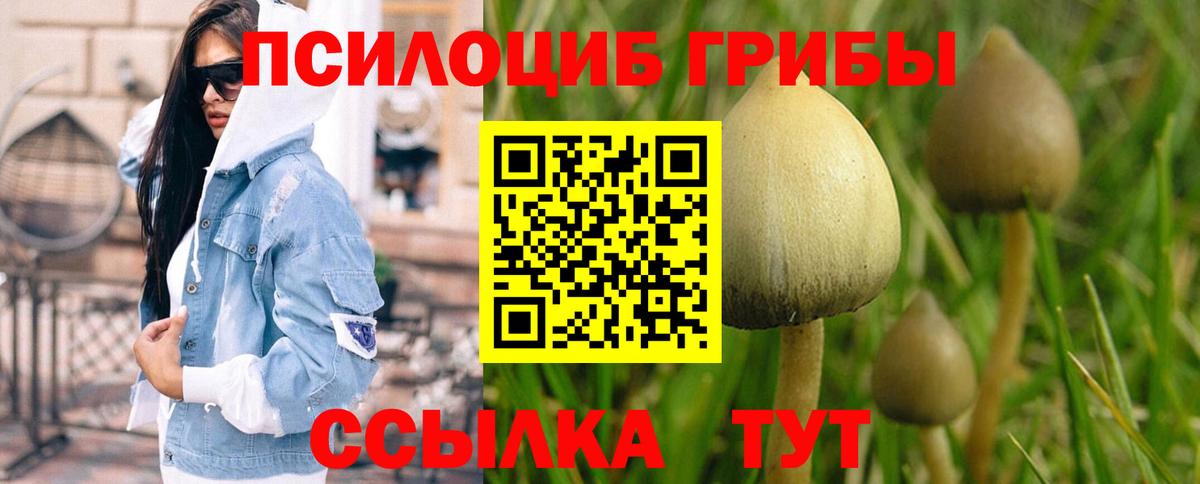Галлюциногенные грибы прущие грибы Урус-Мартан