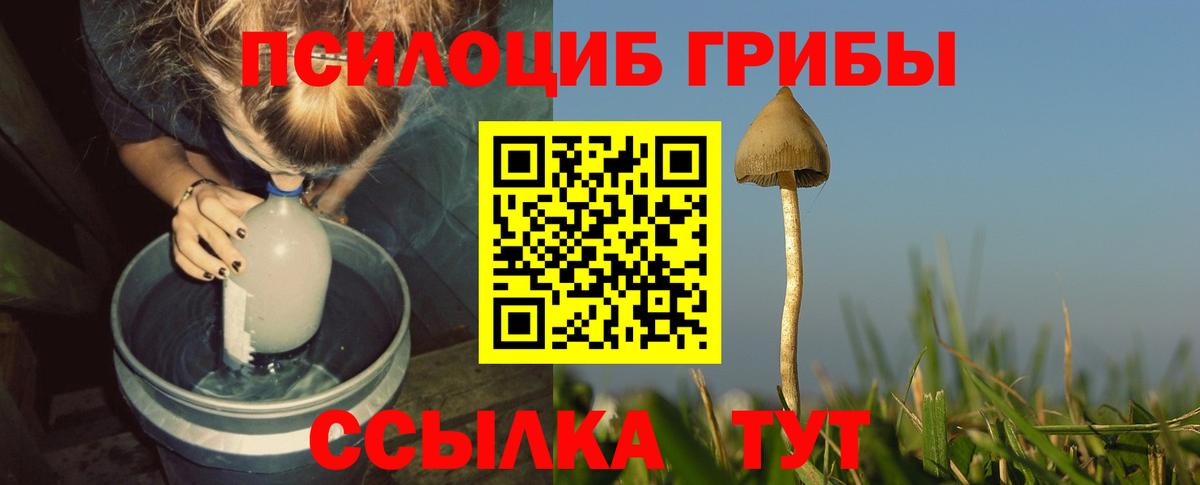 Псилоцибиновые грибы ЛСД  как найти закладки  Урус-Мартан  Вход с VPN 